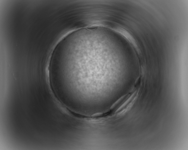 X0000088850814200706151716