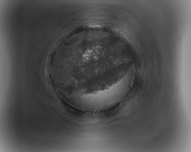 X0000088850817200706151715