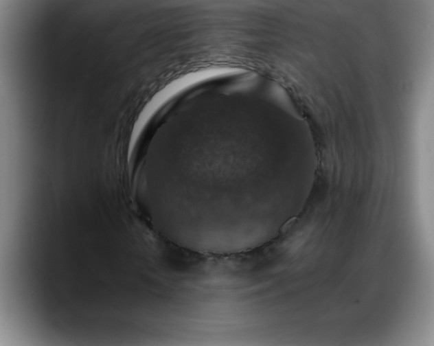 X0000088850818200706151715