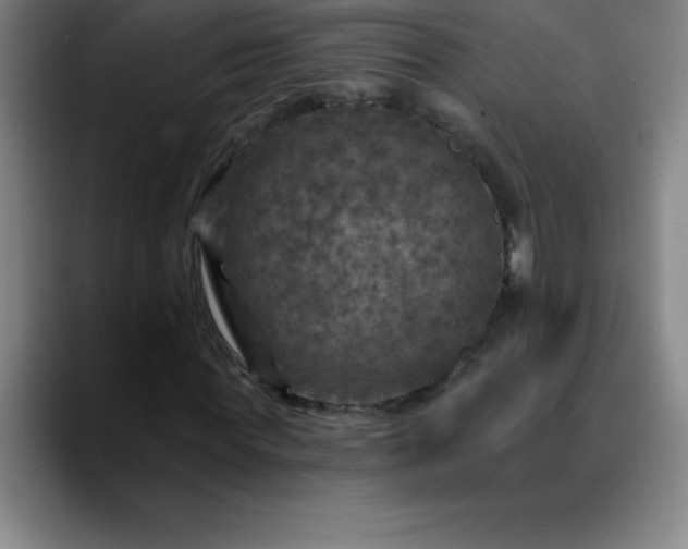 X0000088850819200706151715