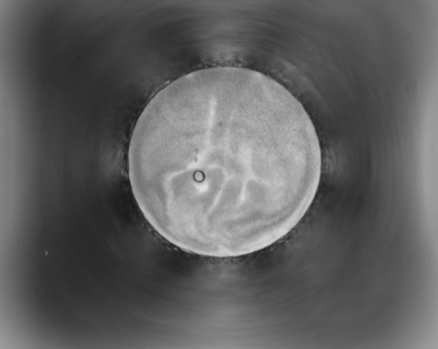 X0000088850820200706151715