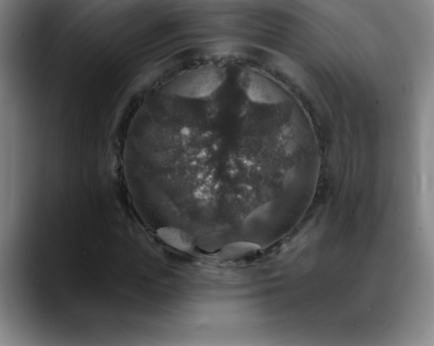 X0000088850823200706151715