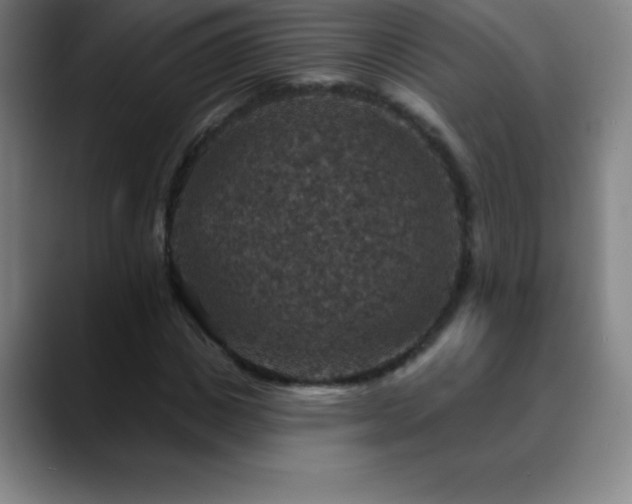 X0000088850825200706151715