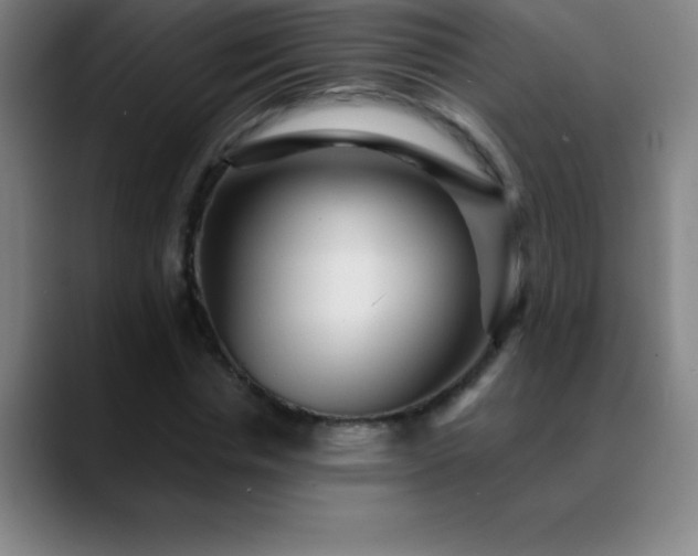 X0000088850826200706151715