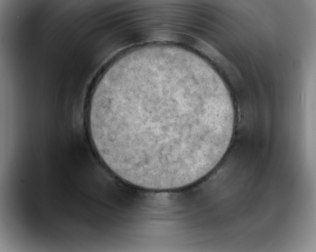 X0000088850828200706151715