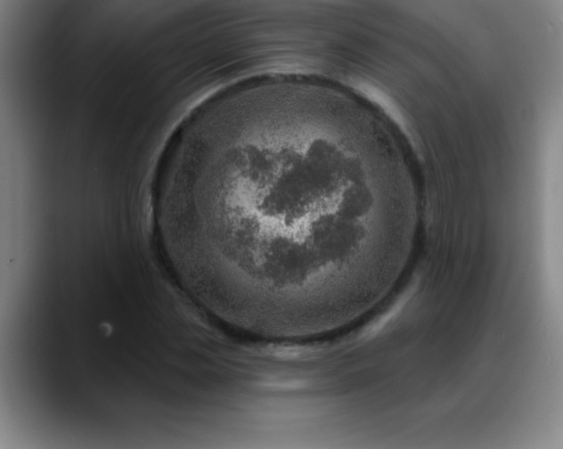 X0000088850829200706151716