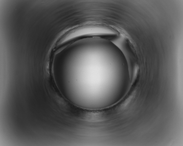 X0000088850830200706151716