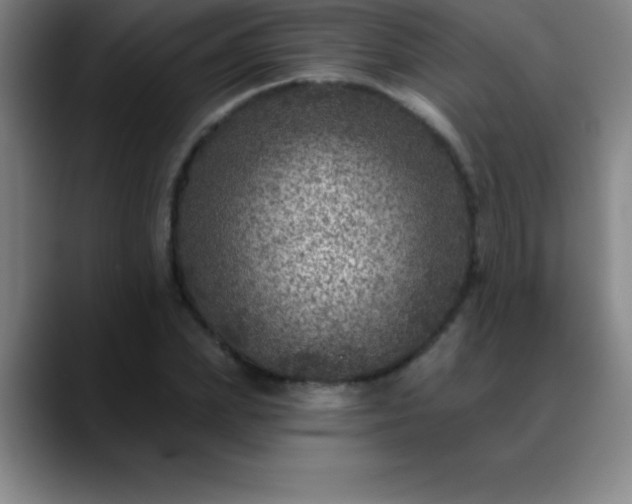 X0000088850831200706151716