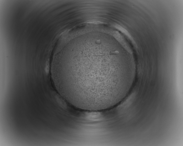 X0000088850833200706151716