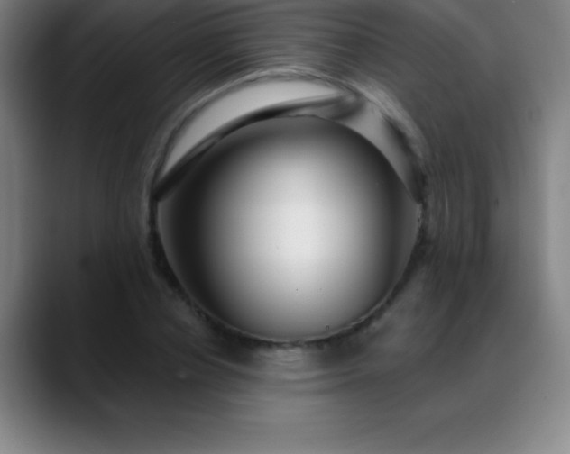 X0000088850834200706151716