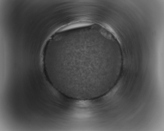 X0000088850835200706151716