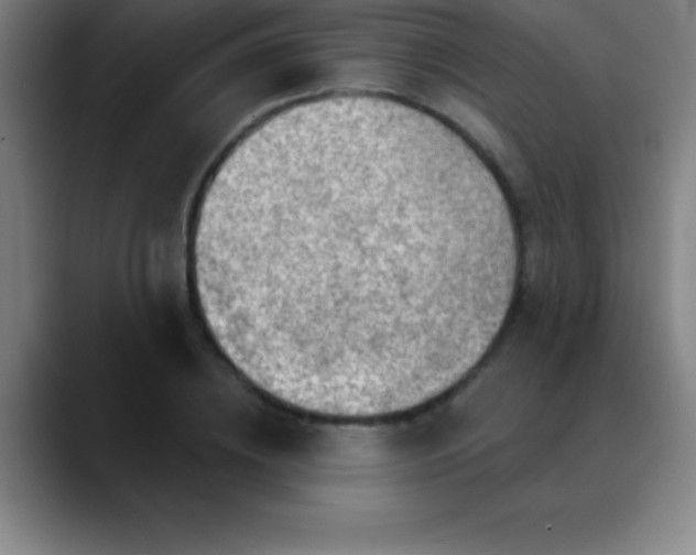 X0000088850836200706151716