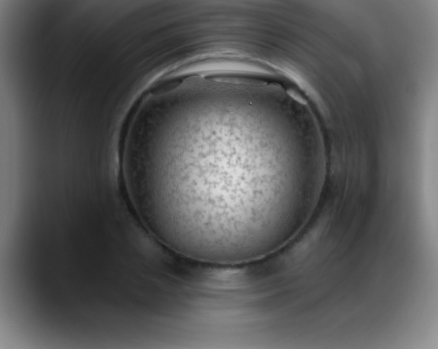 X0000088850837200706151716