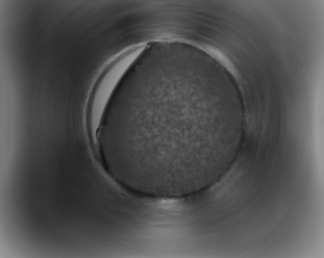 X0000088850839200706151716