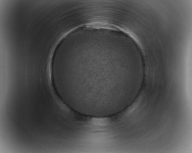 X0000088850840200706151716