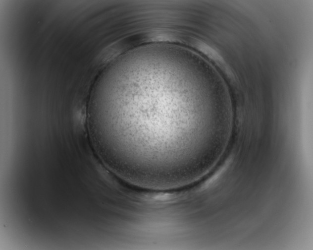 X0000088850841200706151716