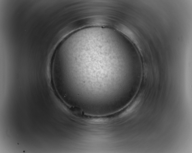 X0000088850843200706151716