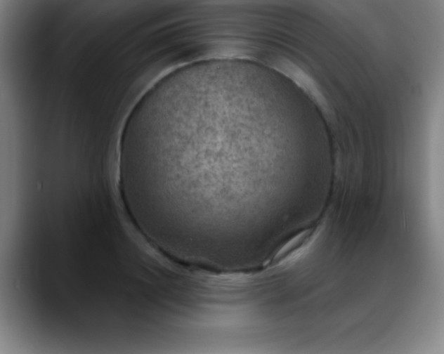 X0000088850844200706151716