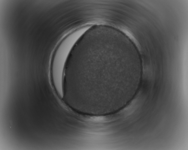 X0000088850845200706151716