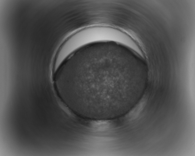 X0000088850846200706151716