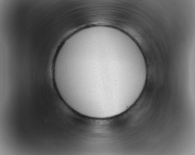 X0000088850848200706151716