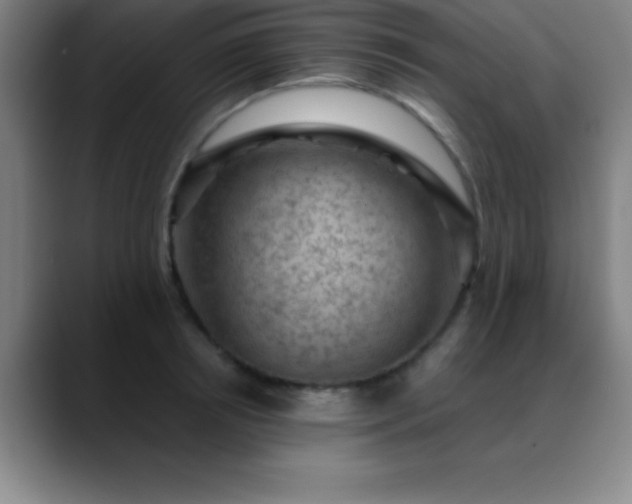 X0000088850850200706151716