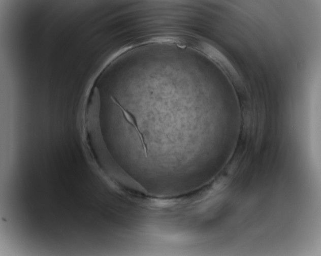 X0000088850852200706151716