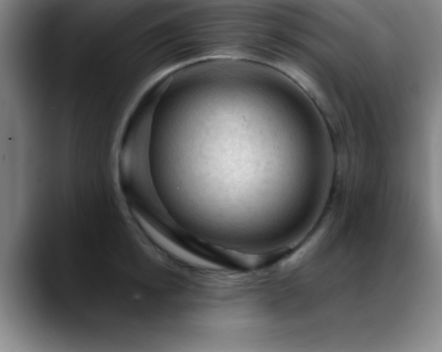 X0000088850854200706151716