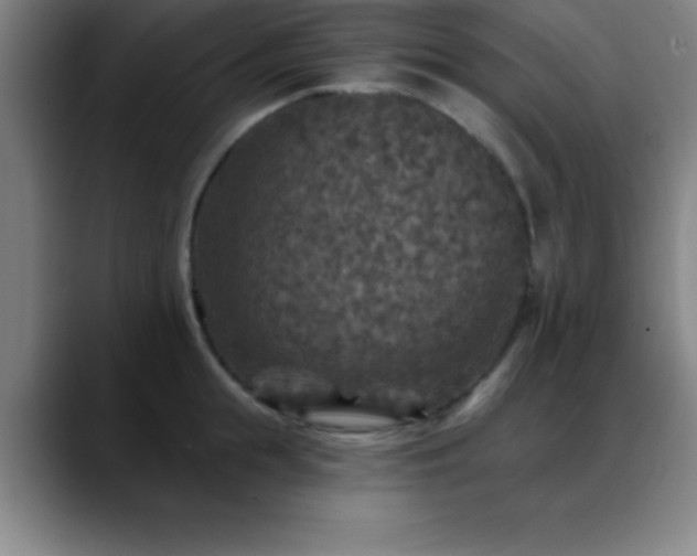 X0000088850855200706151716