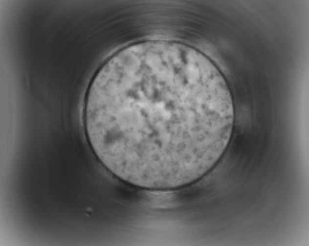 X0000088850856200706151716