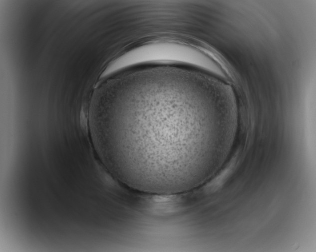 X0000088850857200706151716