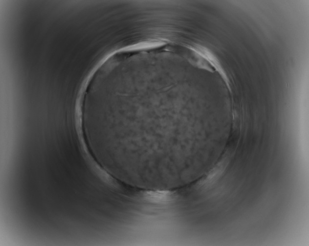 X0000088850859200706151716