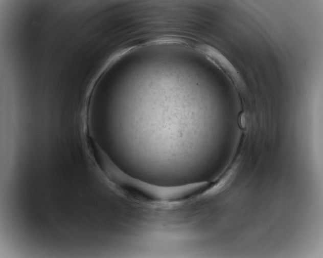 X0000088850860200706151716