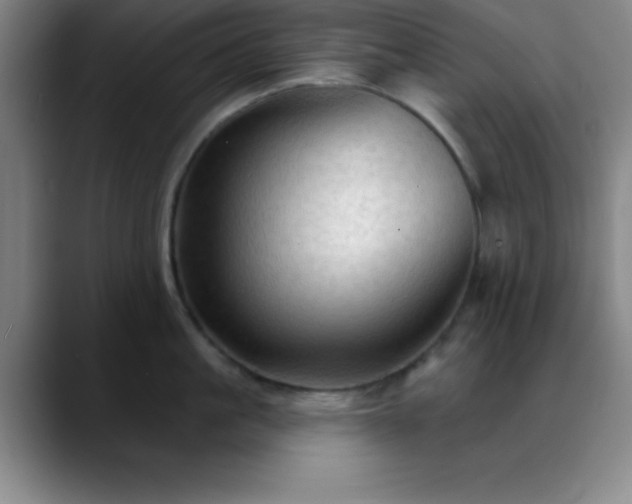 X0000088850861200706151716