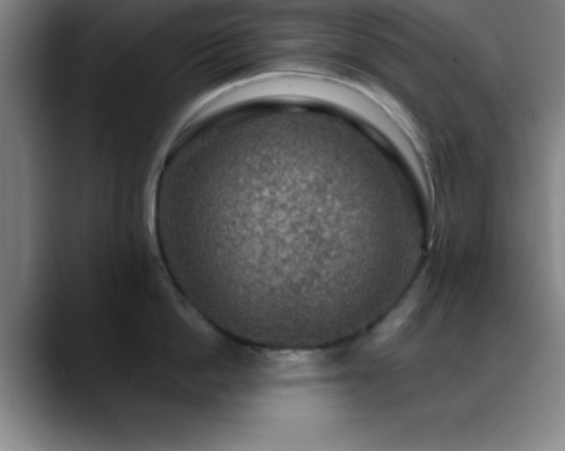 X0000088850862200706151716