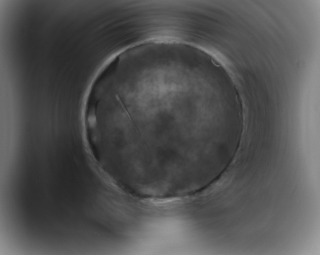 X0000088850864200706151716