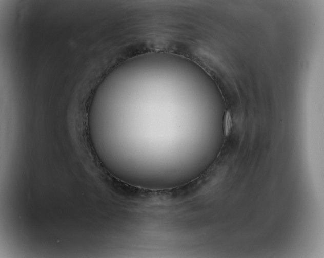 X0000088850865200706151715