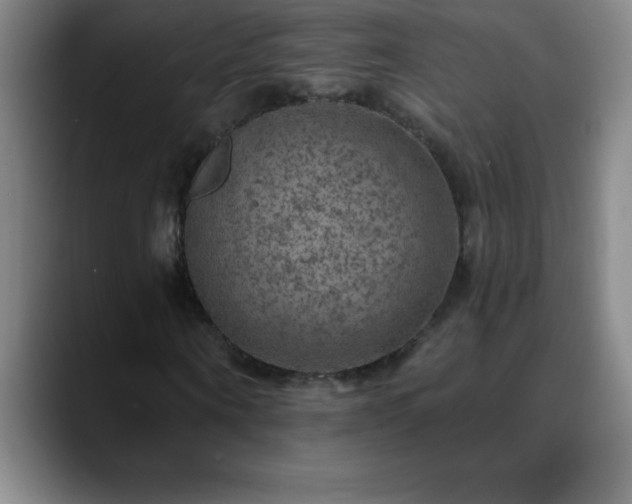 X0000088850866200706151715