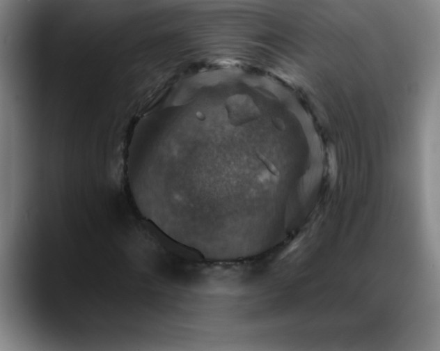 X0000088850868200706151715