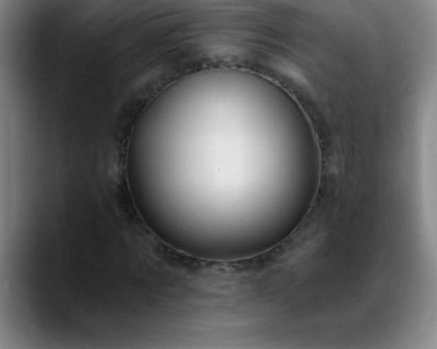 X0000088850869200706151715