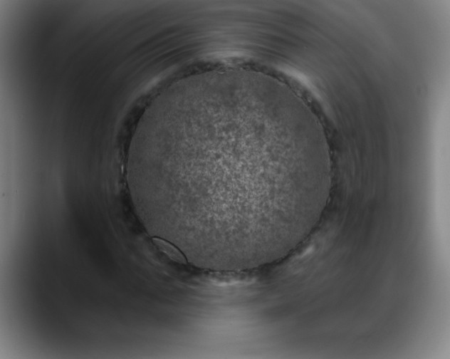 X0000088850871200706151715