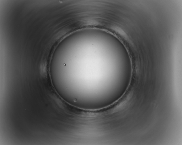 X0000088850873200706151715