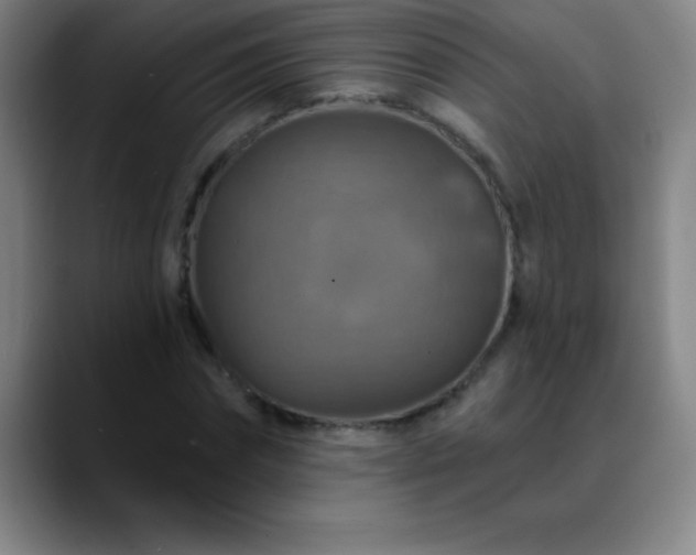 X0000088850874200706151715