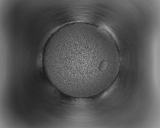 X0000088850875200706151715