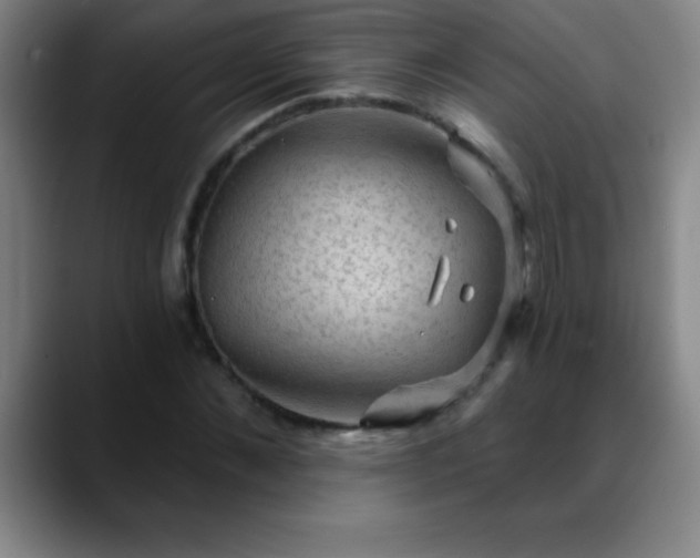 X0000088850876200706151715