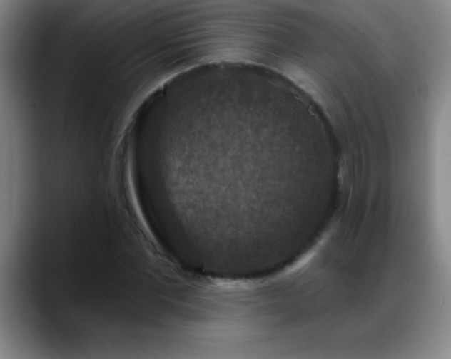 X0000088850877200706151715