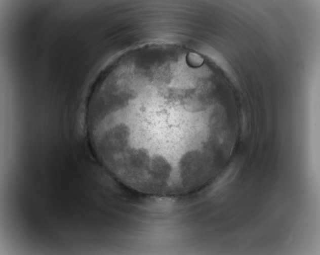 X0000088850878200706151715