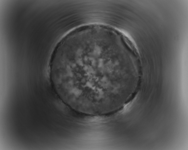 X0000088850879200706151715