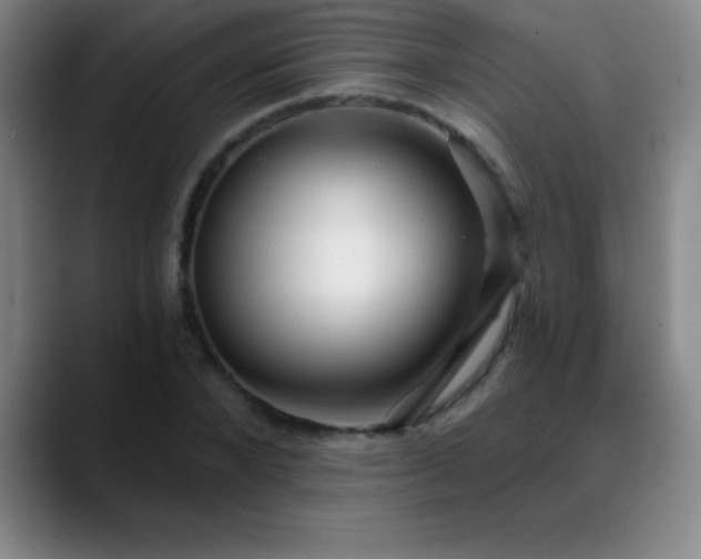 X0000088850880200706151715