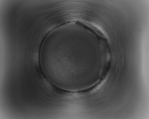 X0000088850881200706151715